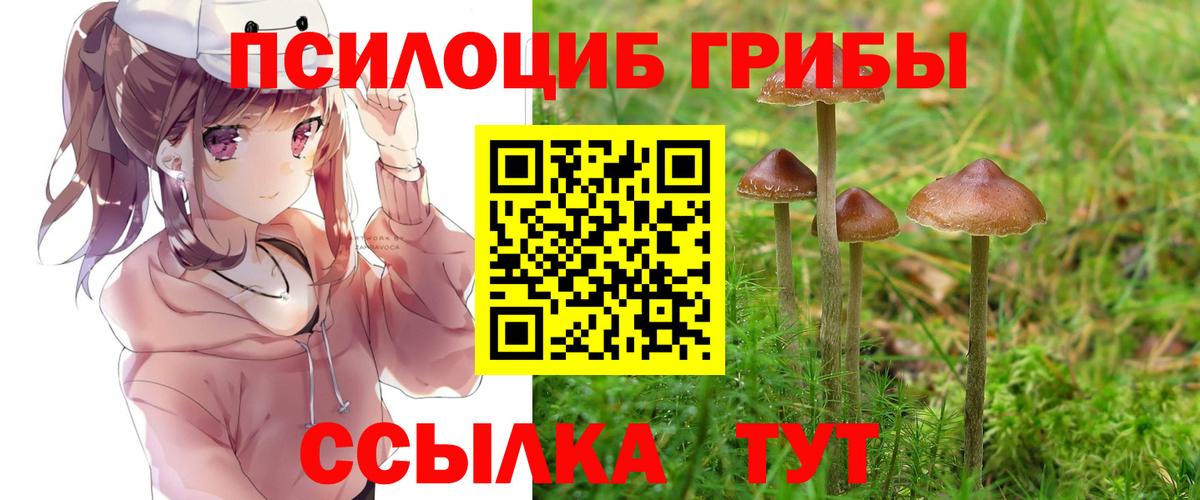 Галлюциногенные грибы прущие грибы  Вход с VPN  Галлюциногенные грибы Psilocybe  Кропоткин 